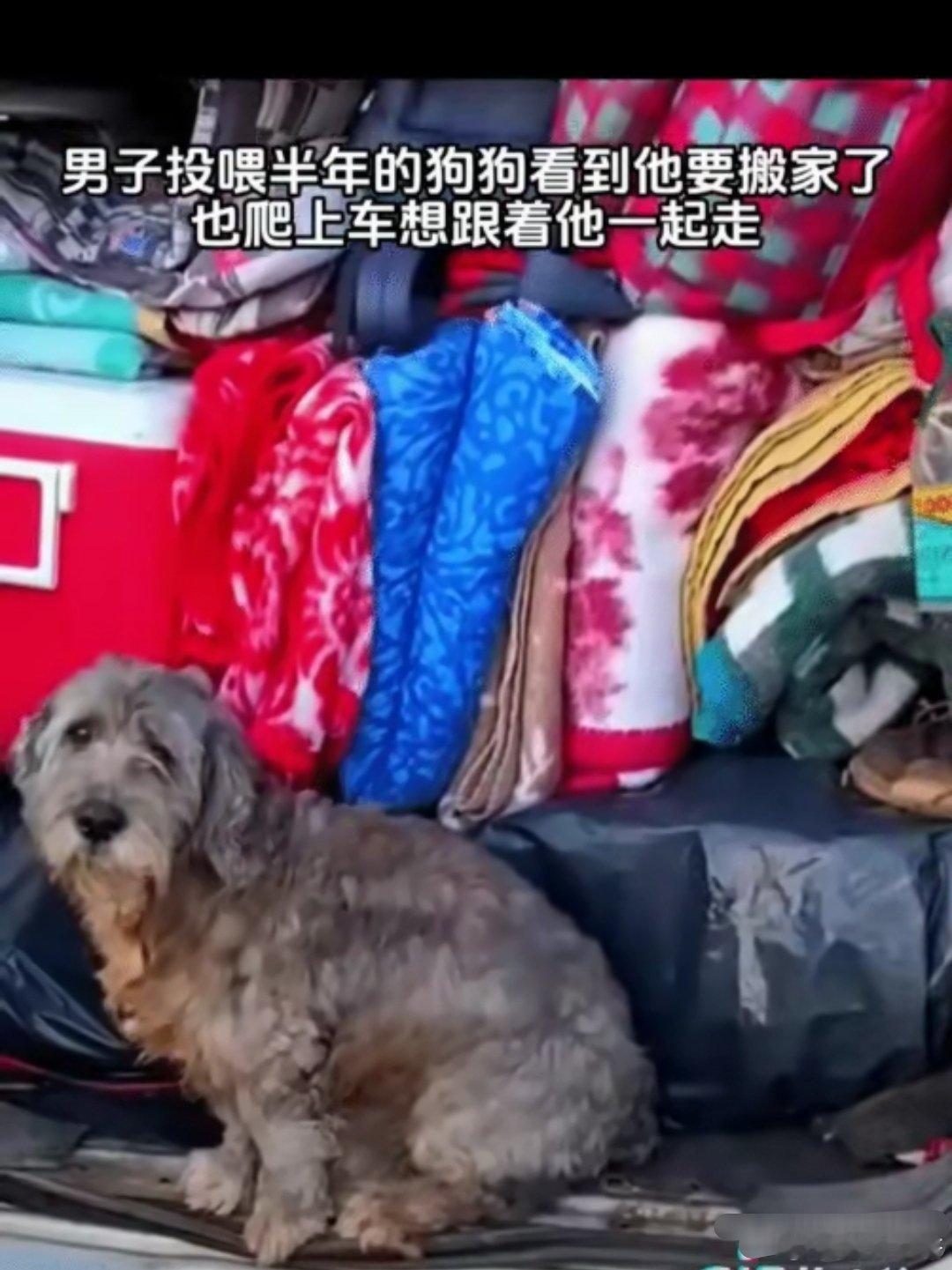 有一个邻居要搬家了，他就把东西全部收拾好，放到了大车上，在准备要走的时候，一只被