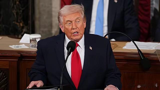 老特和这个女子在国会上就开始针锋相对的吵了起来，老特谴责索马里人是杀人犯，作为索