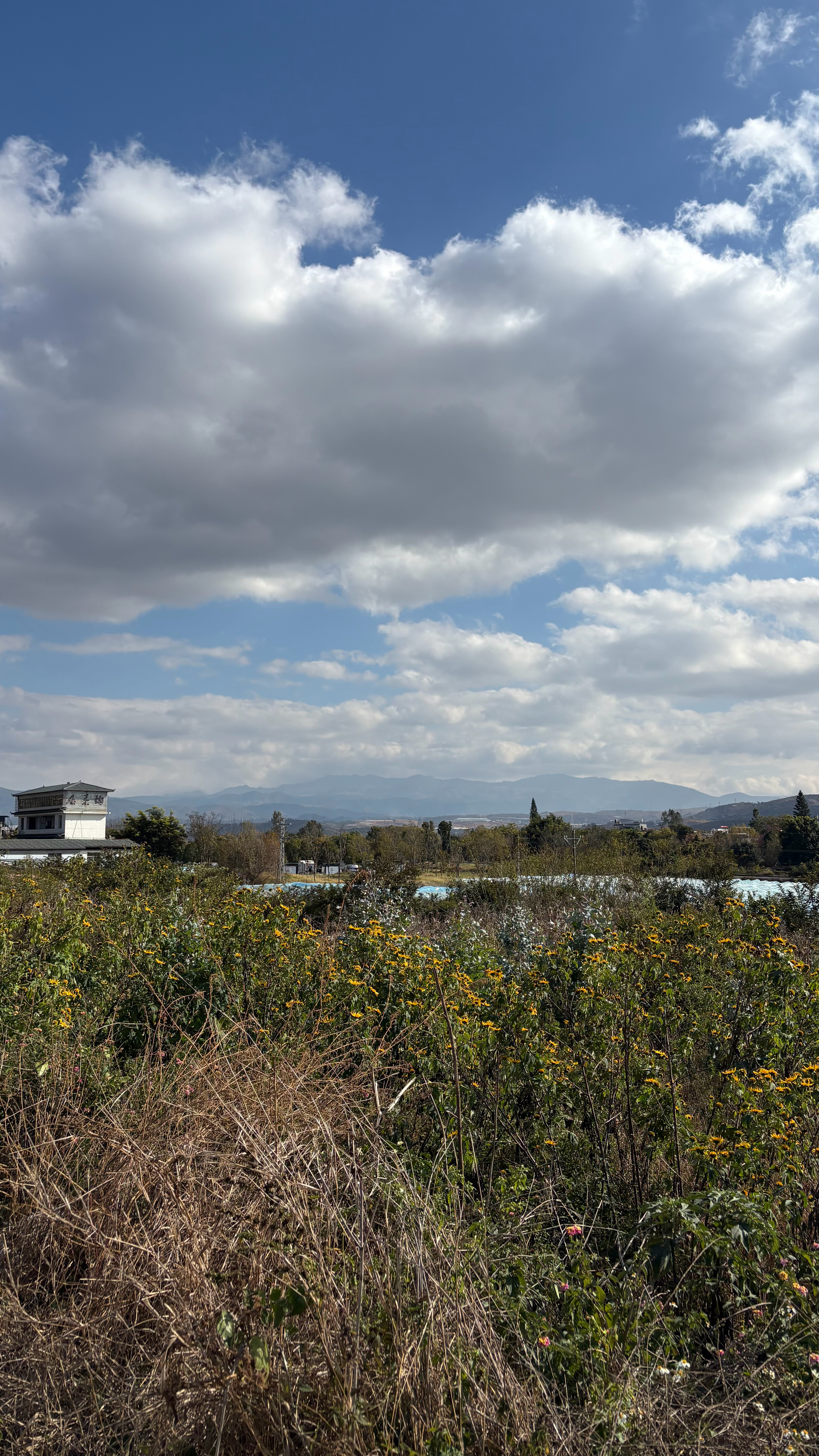 在北京出门看个片都喘，恨不得赶紧回家躺着，一切都枯燥乏味，在云南每天两万步轻轻松