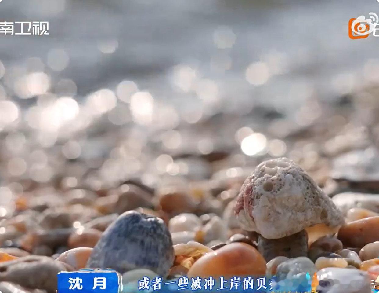 沈月手作人的权威  亲爱的客栈变废为宝也太厉害，这就是沈月专属手作实力 