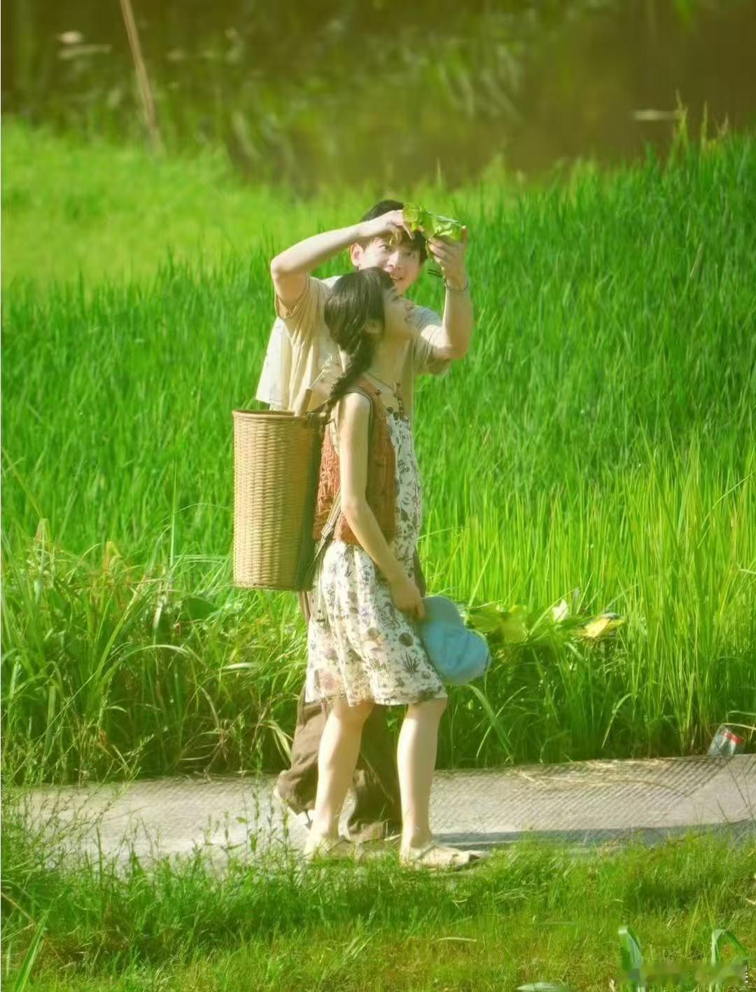 国产剧拍了单身孕妇女主小芳出嫁彩礼拉锯战撕破人情外衣，当感情沦为谈判筹码，小芳果