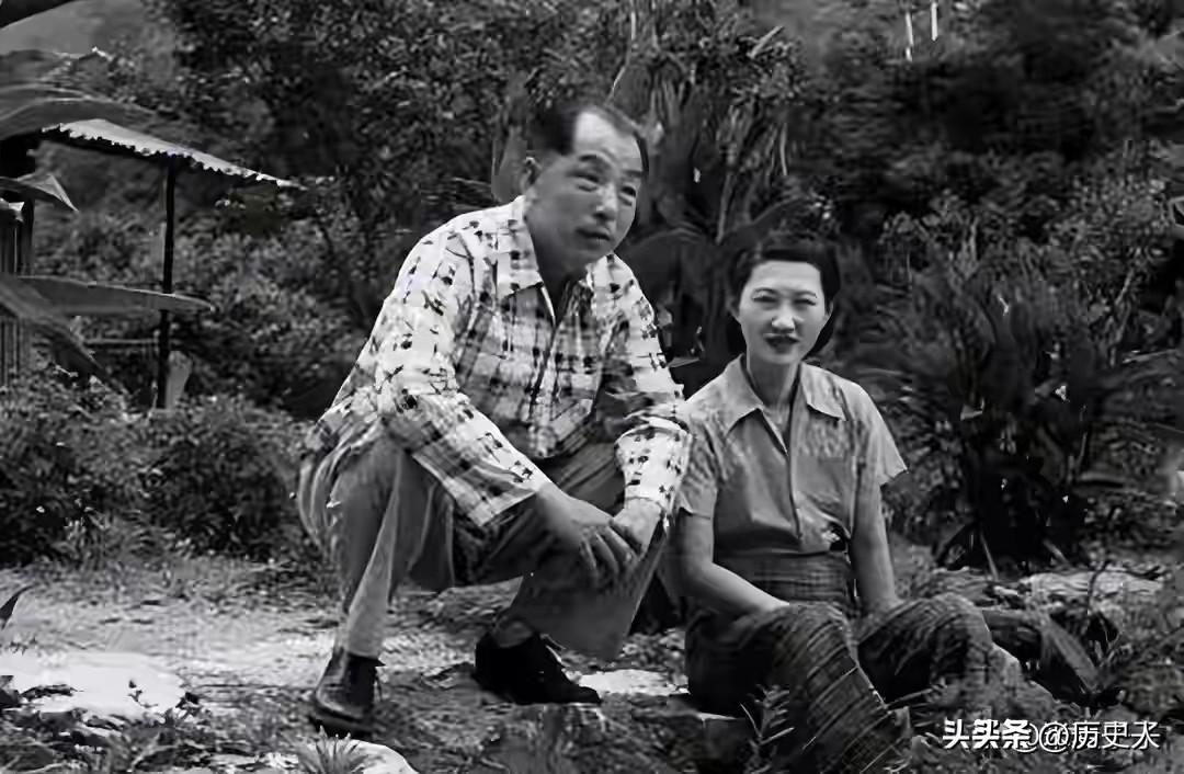1956年台北深秋：被软禁20年的张学良，藏在一杯热茶里的半生沧桑
 
1956