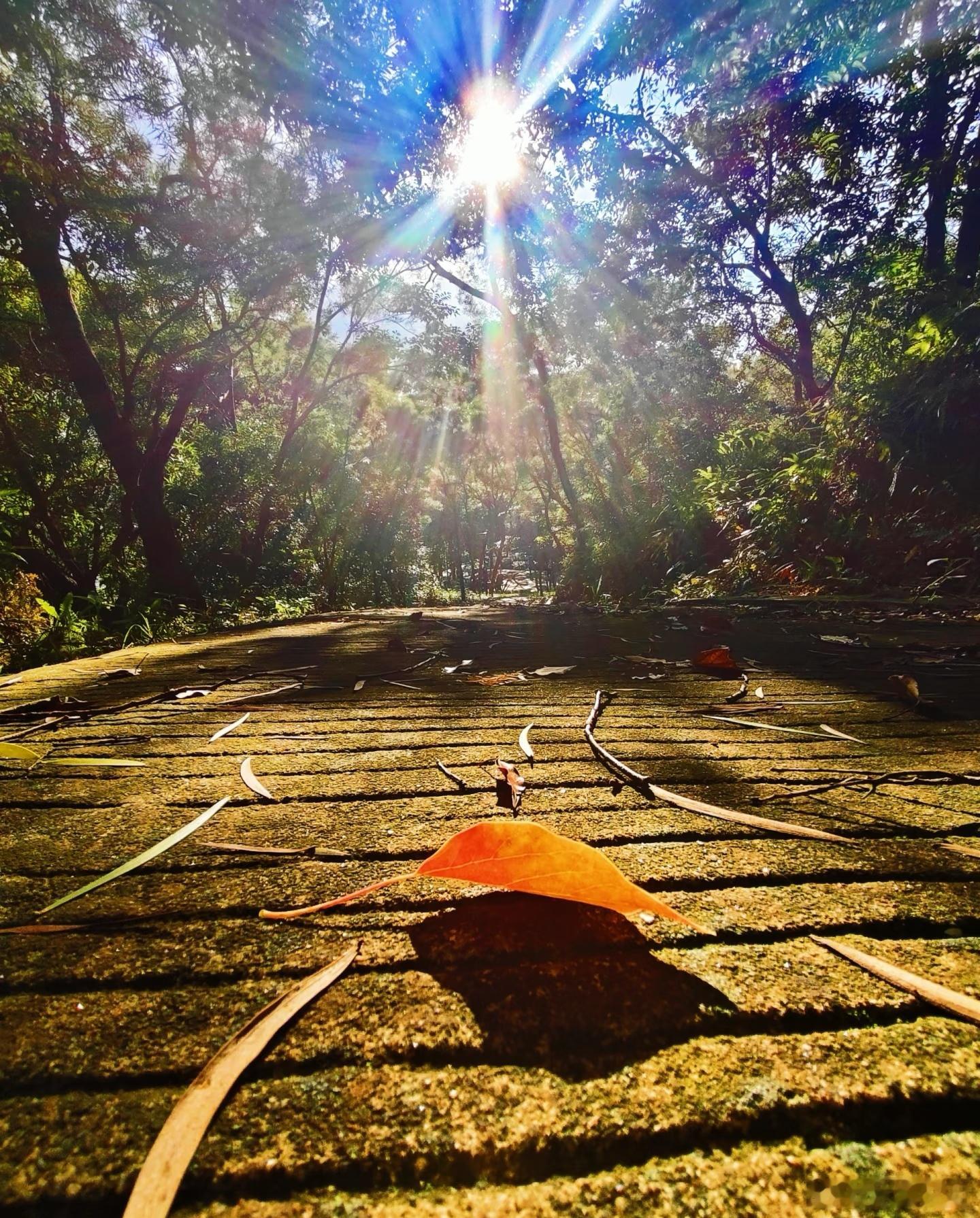 别太贪心总想着什么都要有你不可能拥有全部但也别轻易放弃你也不可能一无所有学会挑选