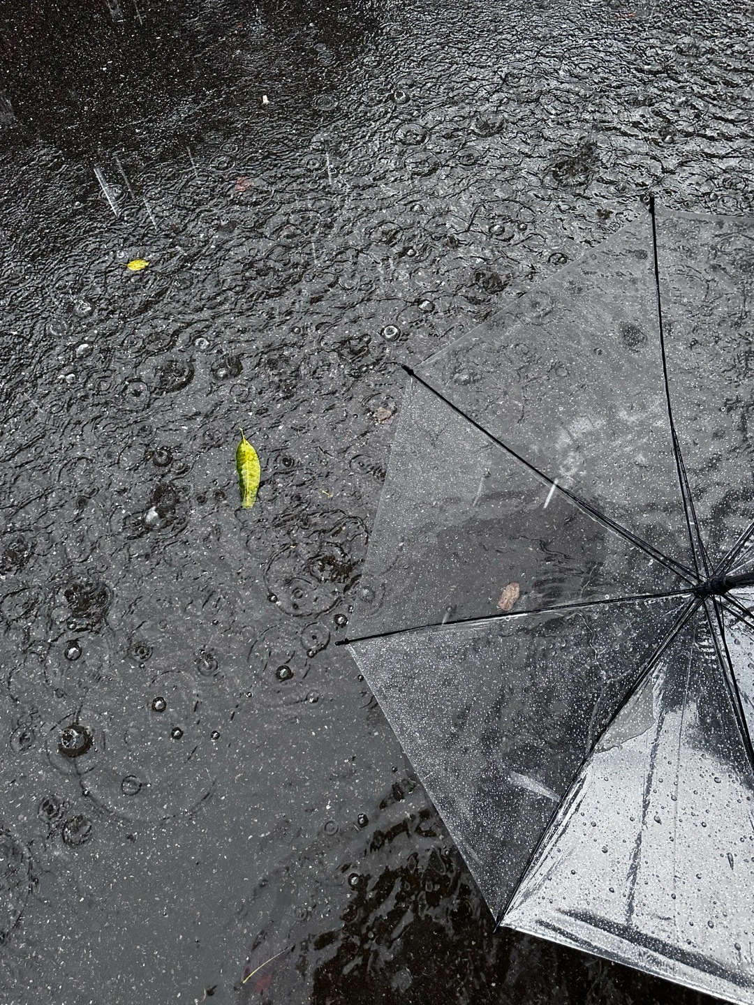 ᯓ𝙍𝙖𝙞𝙣𝙮𝘿𝙖𝙮𝙨🌧️“下雨了，我说的不只是天气” ​​​