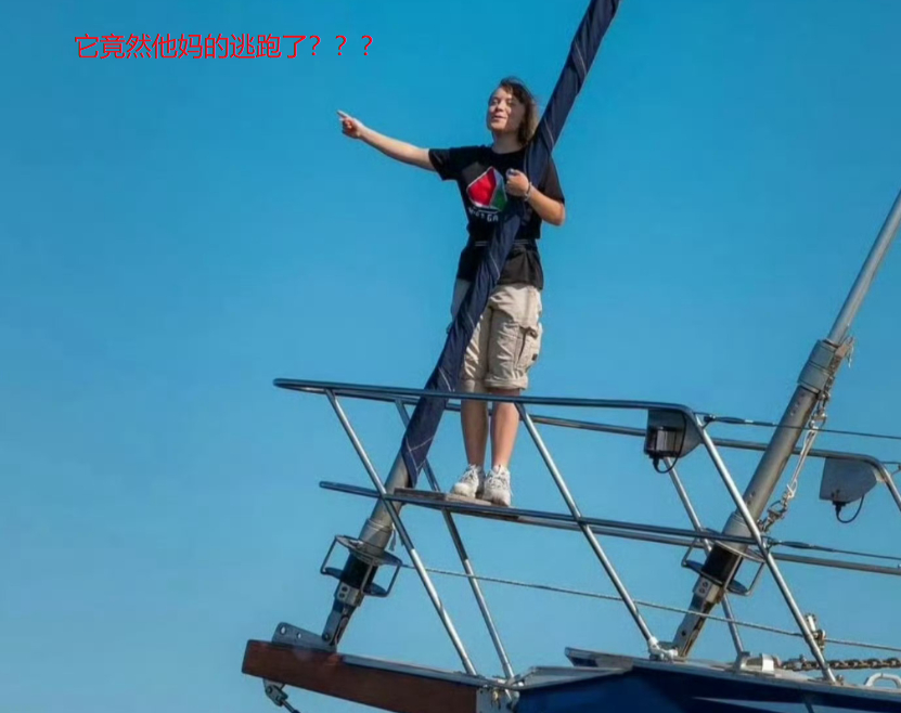 距离以色列150海里，意大利护航军舰掉头就逃，环保少女懵了！“环保少女”格蕾塔·