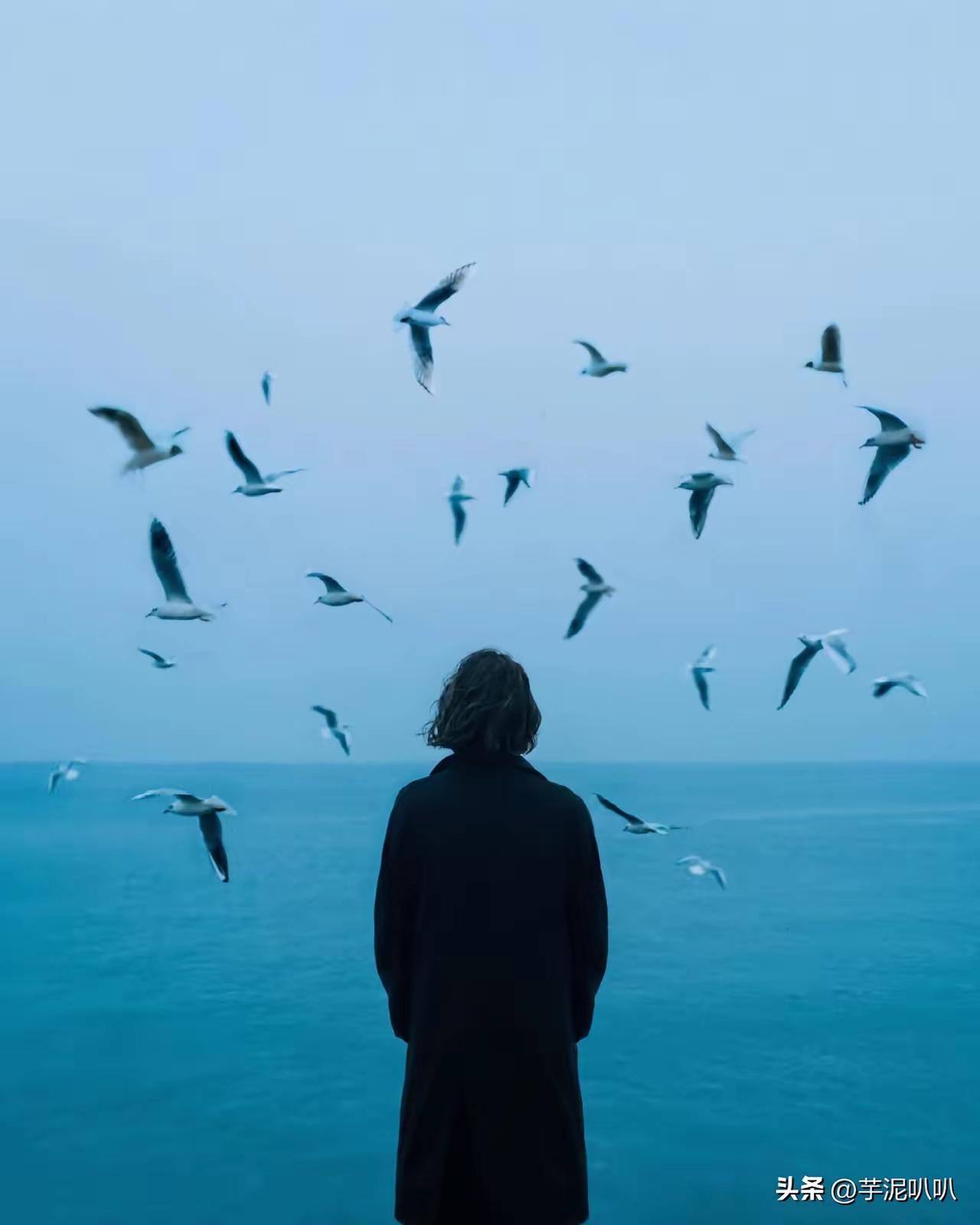 孤独的修行
父母的离世，伴侣的离开，子女的成家，最后的修行就是孤独，其他的都是浮