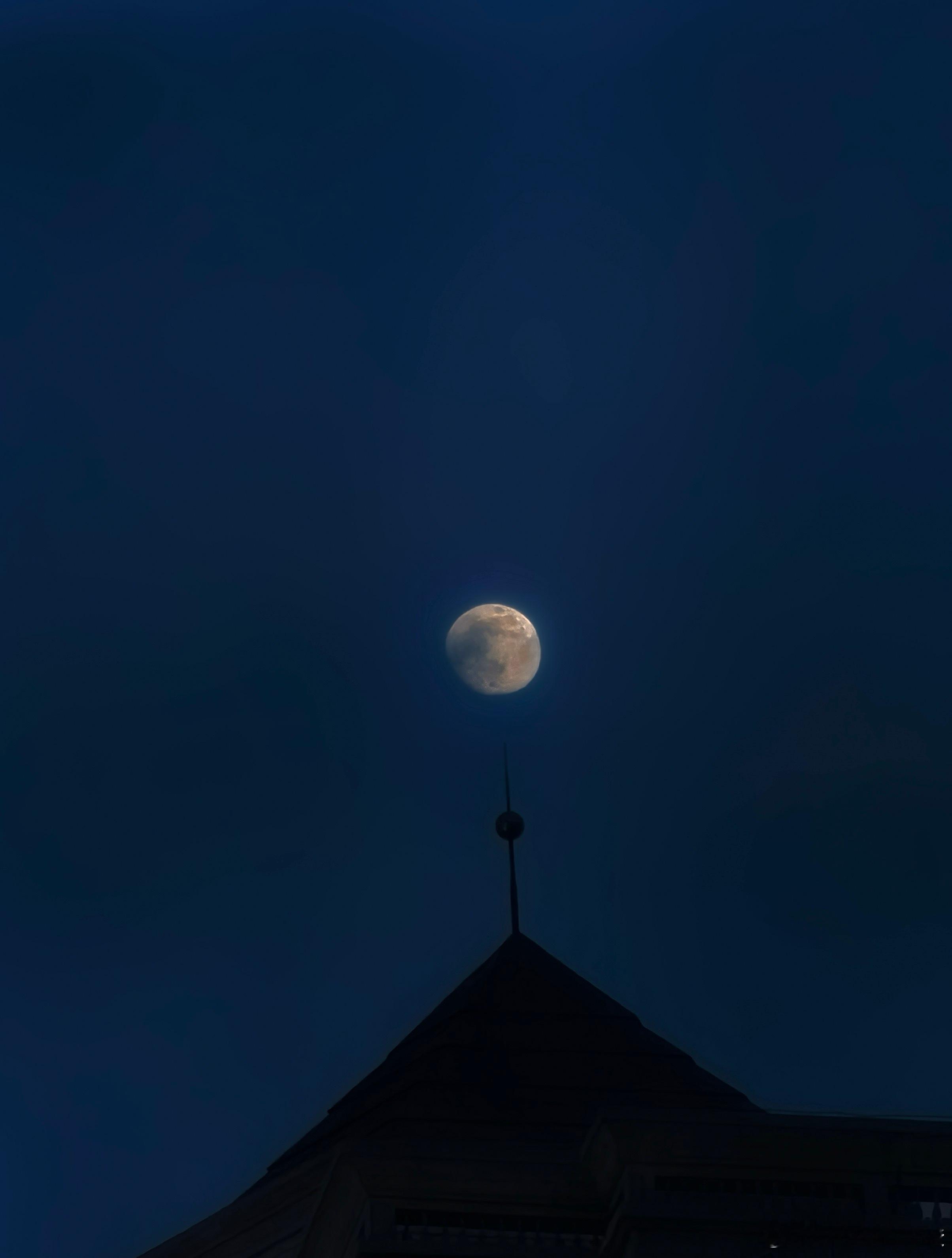 当你把脆弱的一面展示给信任的人，才有机会收获他人的照拂。好梦~~~ 