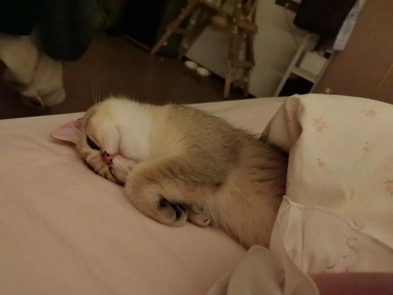 女人经济独立重要吗