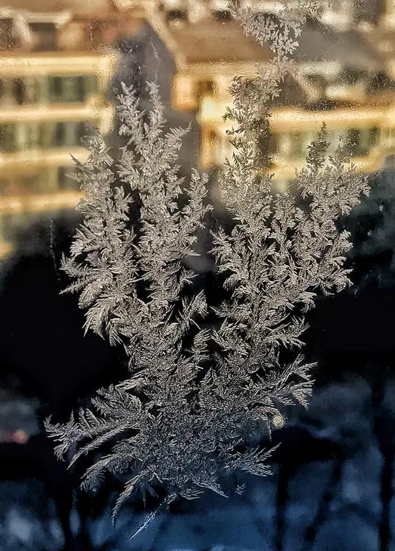 冬日生活打卡季 冬日真是个值得打卡记录的季节！早上7点，裹着毛绒睡衣煮上一壶陈皮