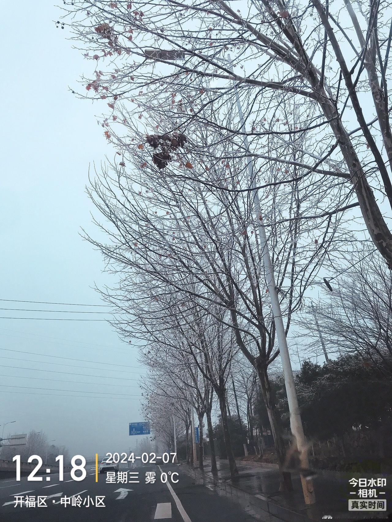 欢迎来长沙看冰。#冰挂