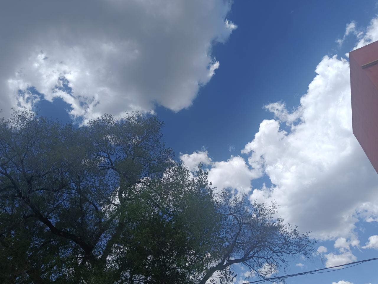 破阵子·致敬 治沙英雄
大漠狂沙蔽日，孤烟瘦马惊飙。
铁骨深栽千丈志，血汗浇融万