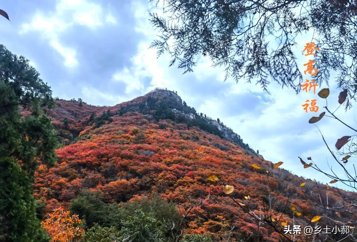 不是迷信,今日重阳节，记得：1不送、2不去、3要吃、4要陪

人生易老天难老，岁