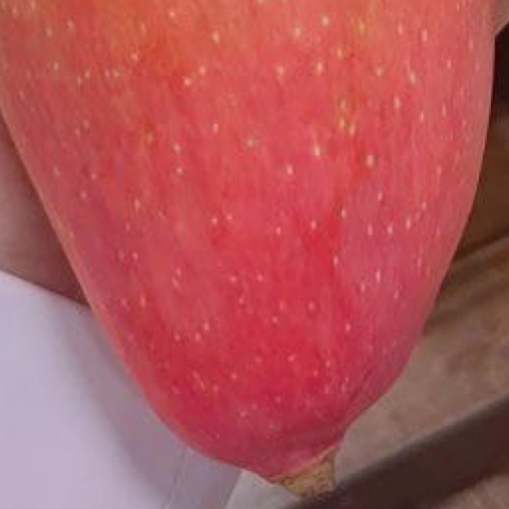 芒果的种植方法1、种植芒果要选在地势平坦的地方；2、选择土层深厚且富含有机质的砂