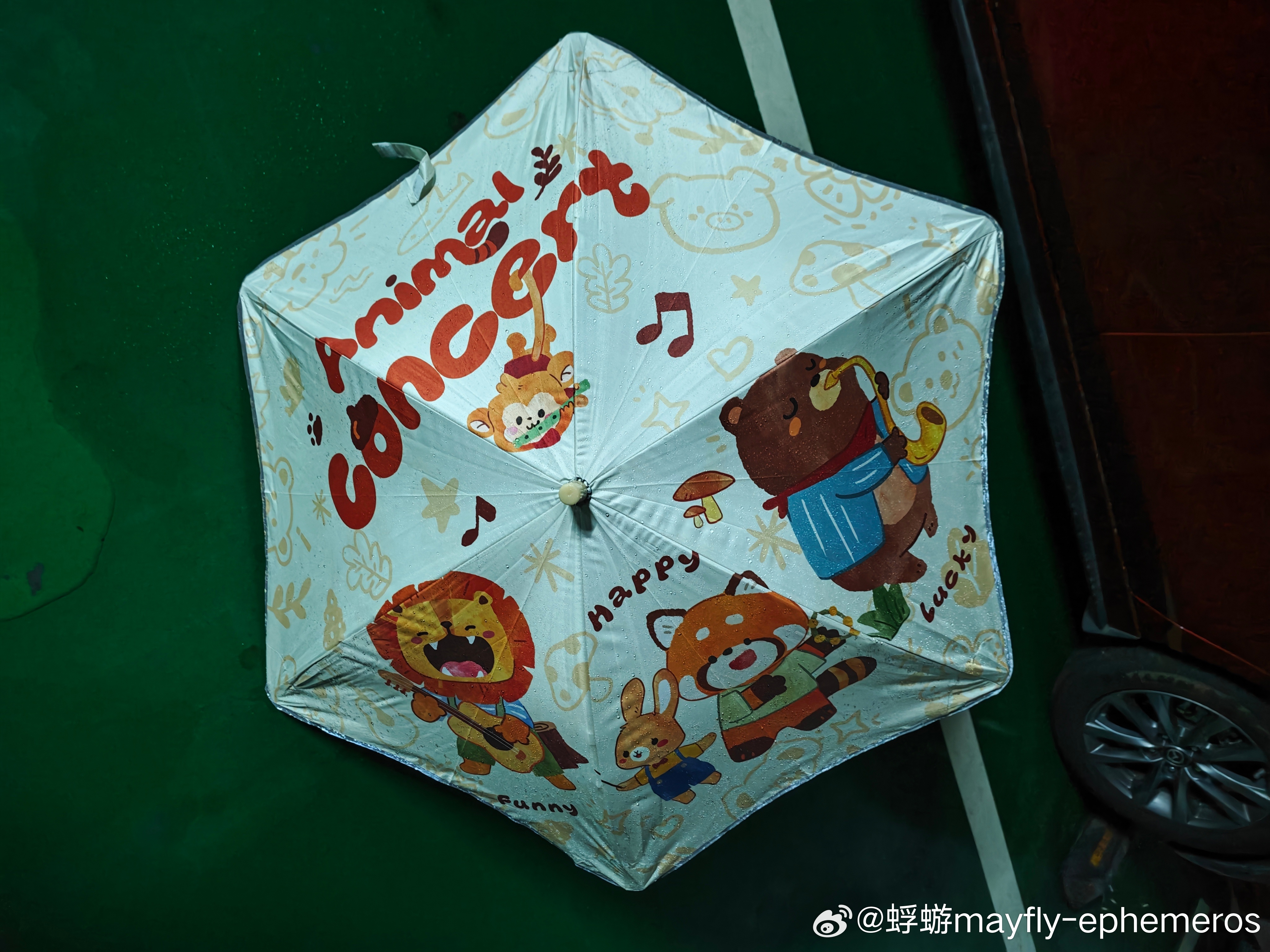 今天带了一把巨可爱的伞出门这伞的小主人是谁很容易猜到了昨晚电闪雷鸣下了一夜的雨清