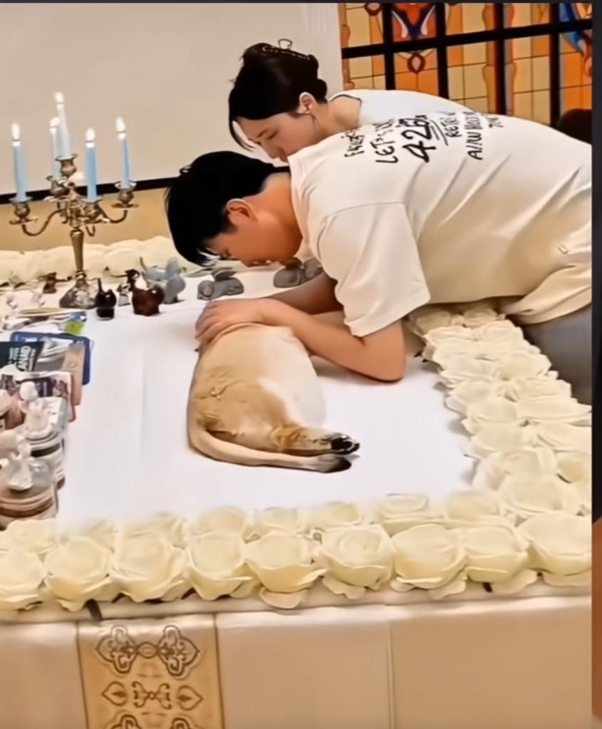 狗狗去世，主人为它花费十五万举行豪华葬礼，并开追悼会！全家人下跪守孝七天！这狗狗