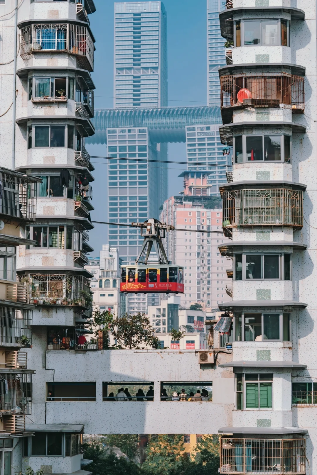 强烈推荐✅来重庆一定不要错过这些机位