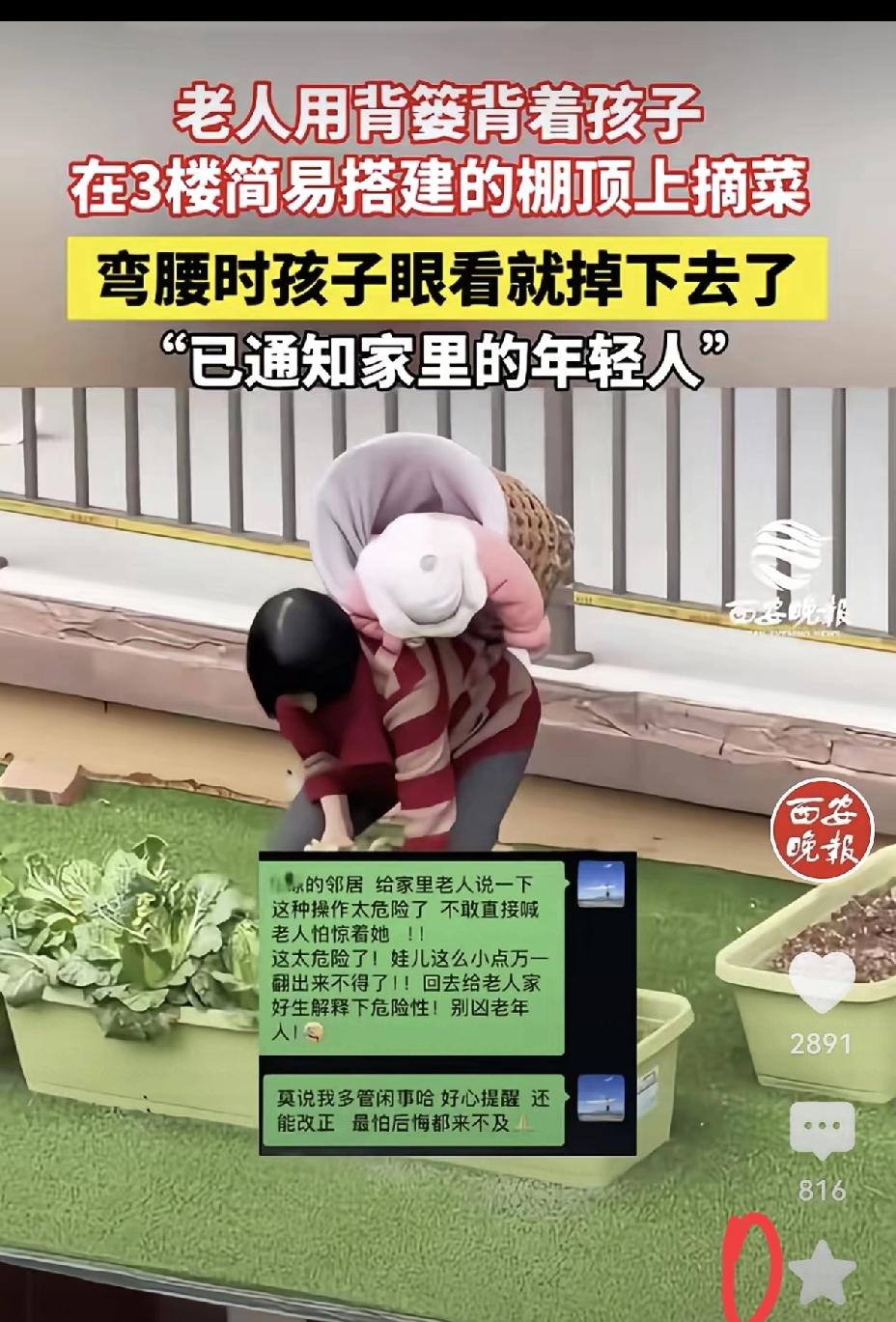 楼顶背娃摘菜的惊心一幕，藏着最让人揪心的现实无奈
 
高空无护栏的楼顶，老人背着