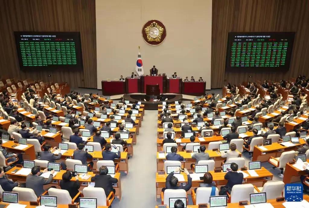 搞半天白忙活？

国会通过逮捕总统的决议案，但是该决议案仅表示国会意向，不具备法