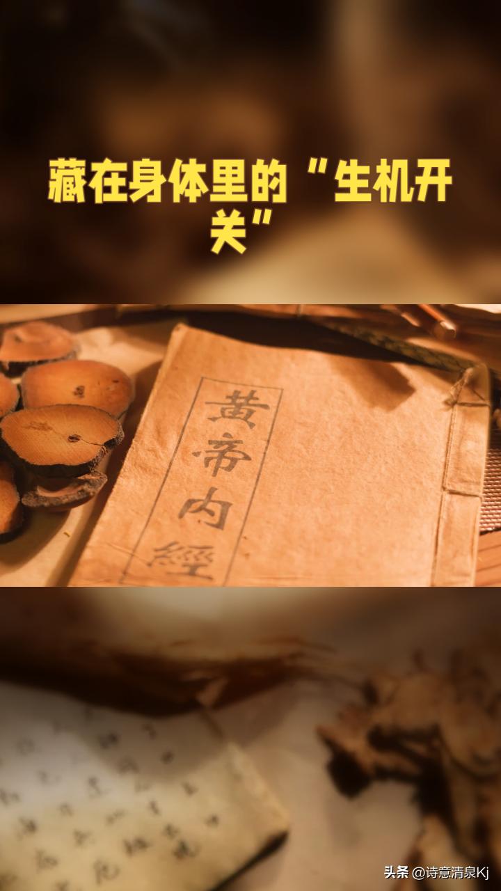 怎么样把中医药传承下去? 想把中医药传承下去，得双管齐下。一方面要扎根基层，像河