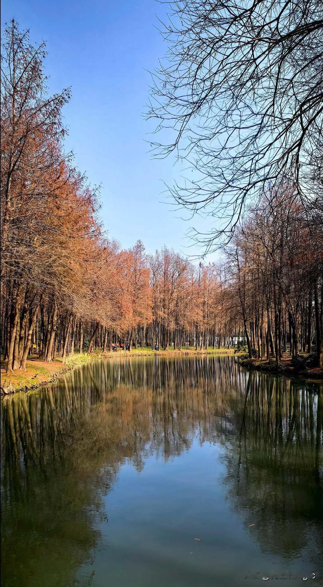 正月初六春韵长，
和风拂柳韵悠扬。
堂前笑语亲情暖，
案上佳肴年味香。
辞去愁思