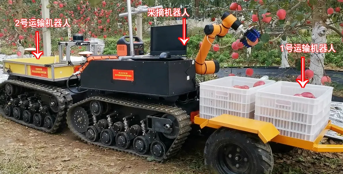 #山东人种菜已经进化到这种程度了吗#一个有意思的关注点：采摘机器人最有希望在哪里