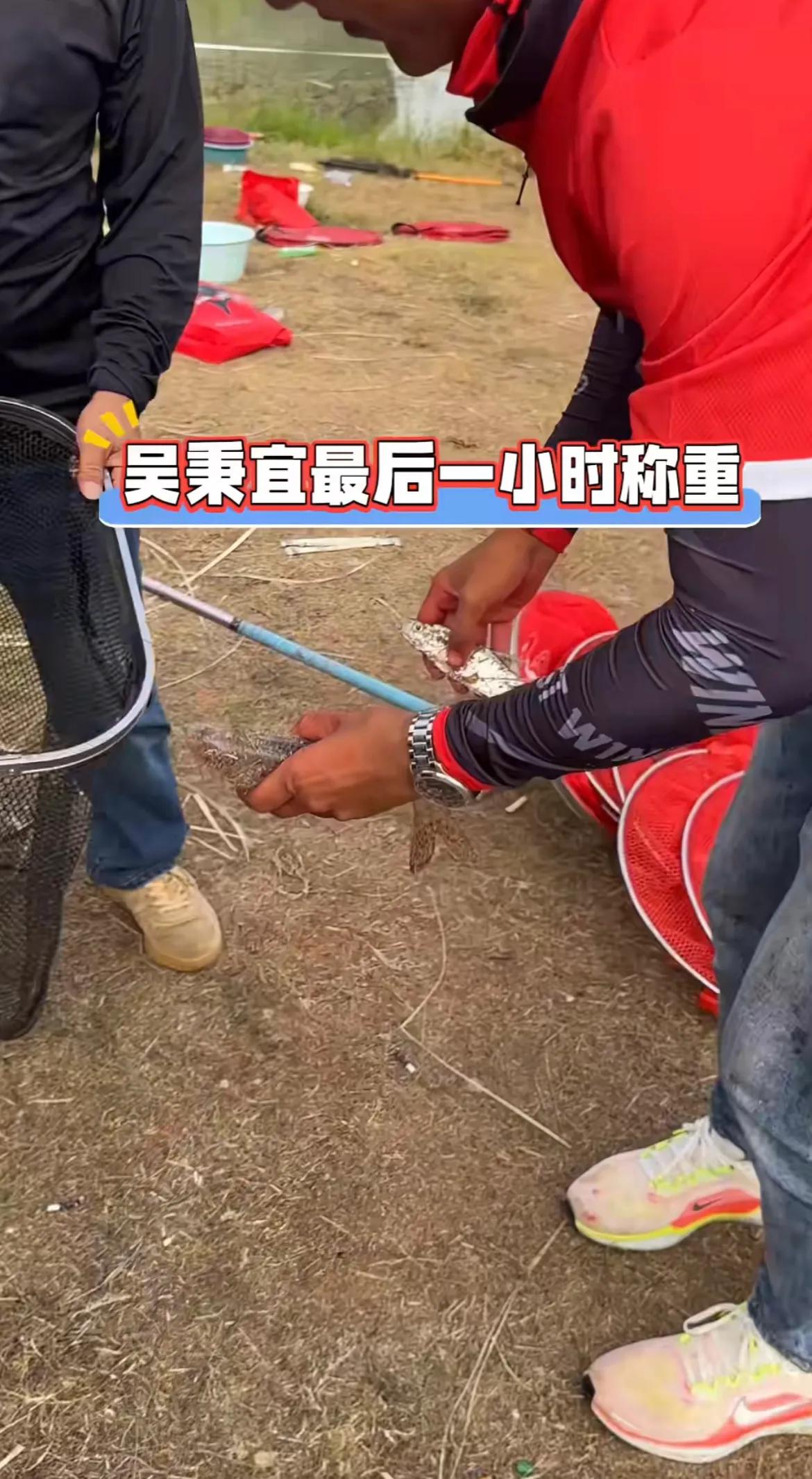 以前特别讨厌钓鱼的时候一群人一起抽鲢鳙，偶然的一次机会，发现他们抽鲢鳙的时候，我