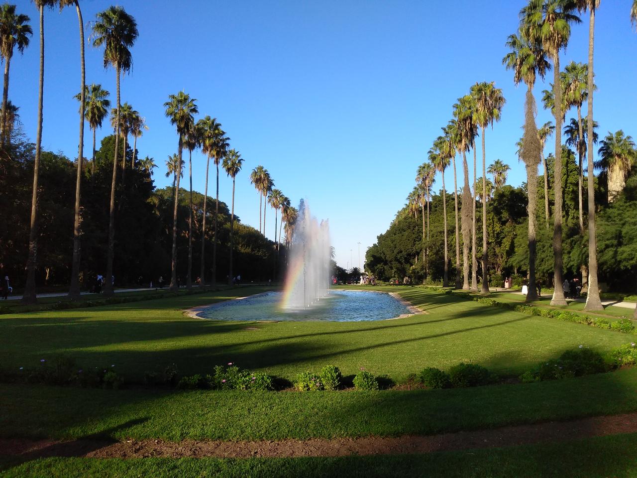 分享手机里的最美的随手拍