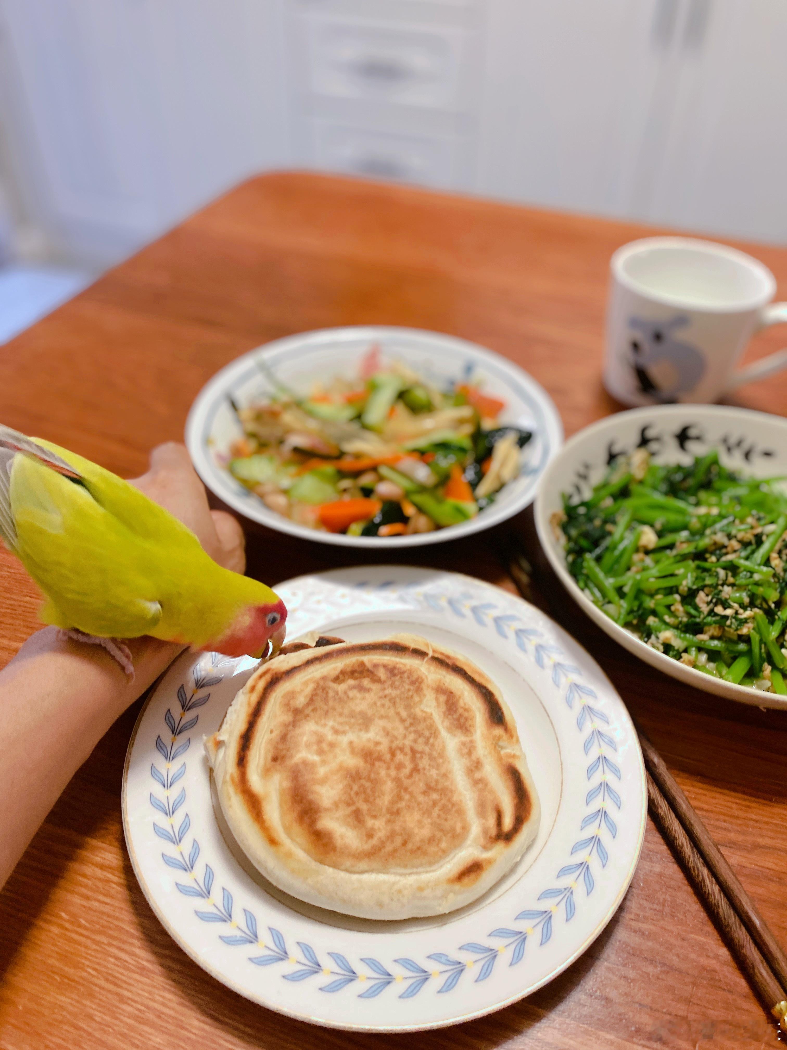 有个小家伙，想迫不及待地和我共进晚餐鹦鹉