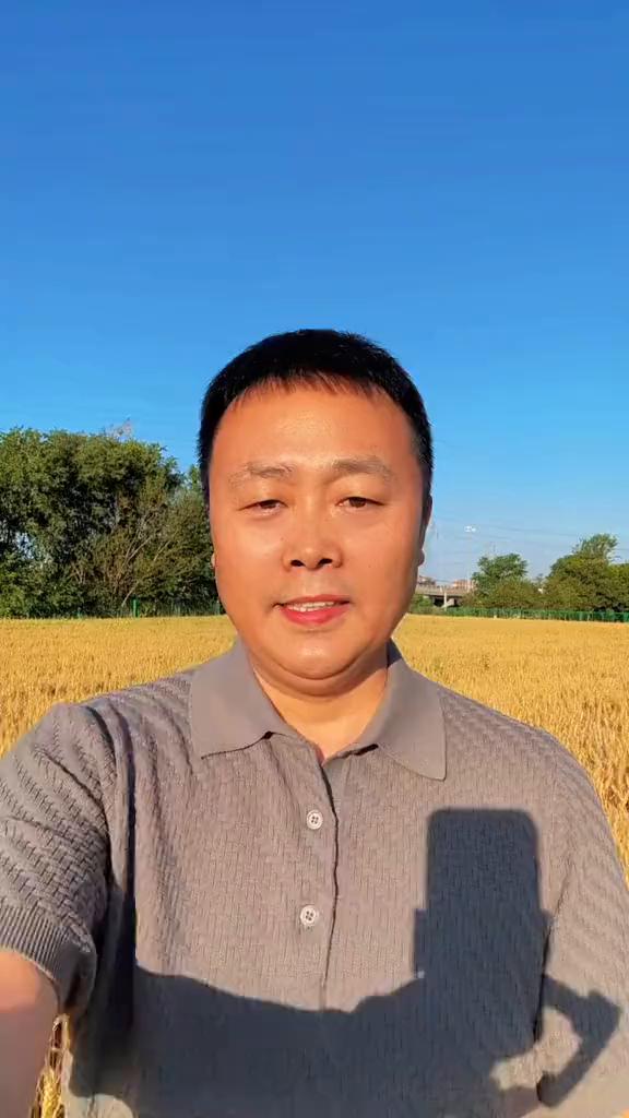 南方出大米，北方出小麦。丰收的田野上，今天它更精彩。