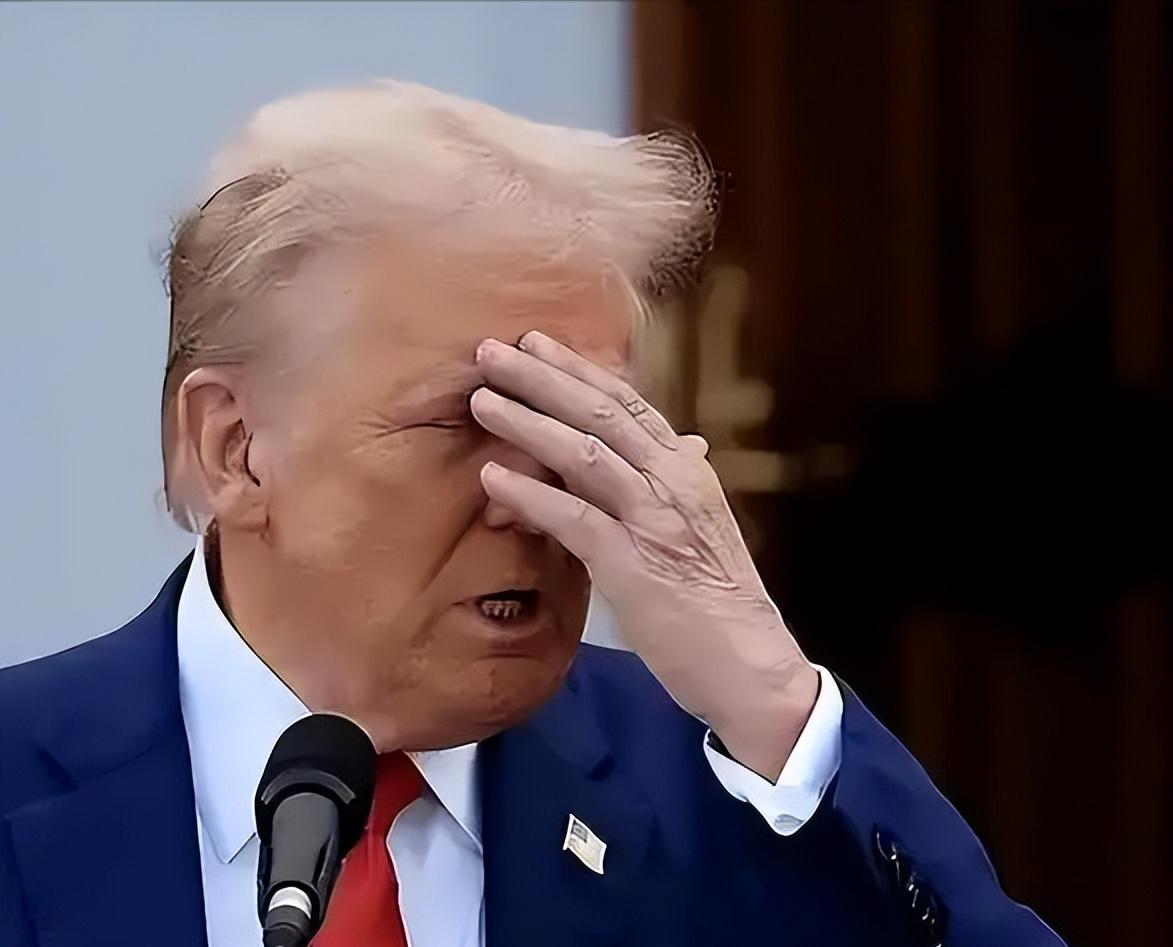 特朗普有点闹心啊！特朗普在与伊朗作战中不算很顺利之际，其夫人梅拉尼娅又传出点事。