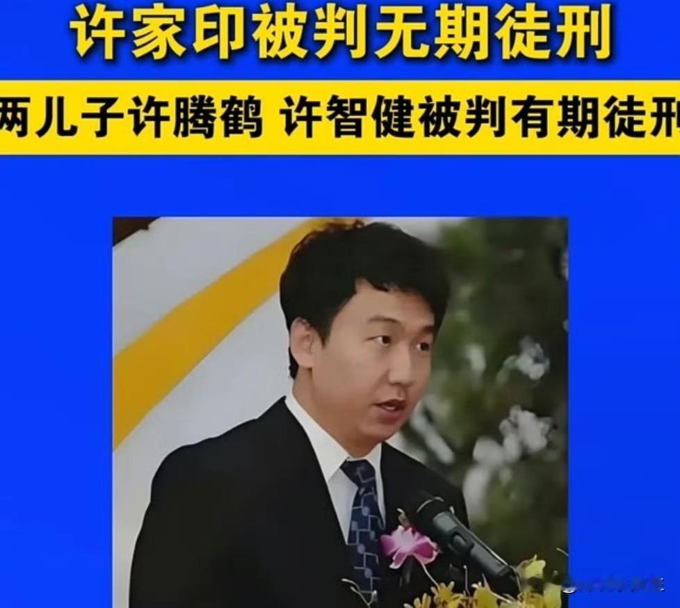 一夜清零！许家印父子三人同日获刑，顶级精英人设，终究抵不过贪婪万丈深渊
 
20
