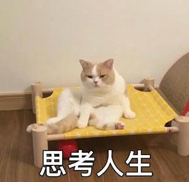 当你总觉得自己没见过世面不要自卑焦虑，按自己的节奏一步步向前就行。 ​​​
