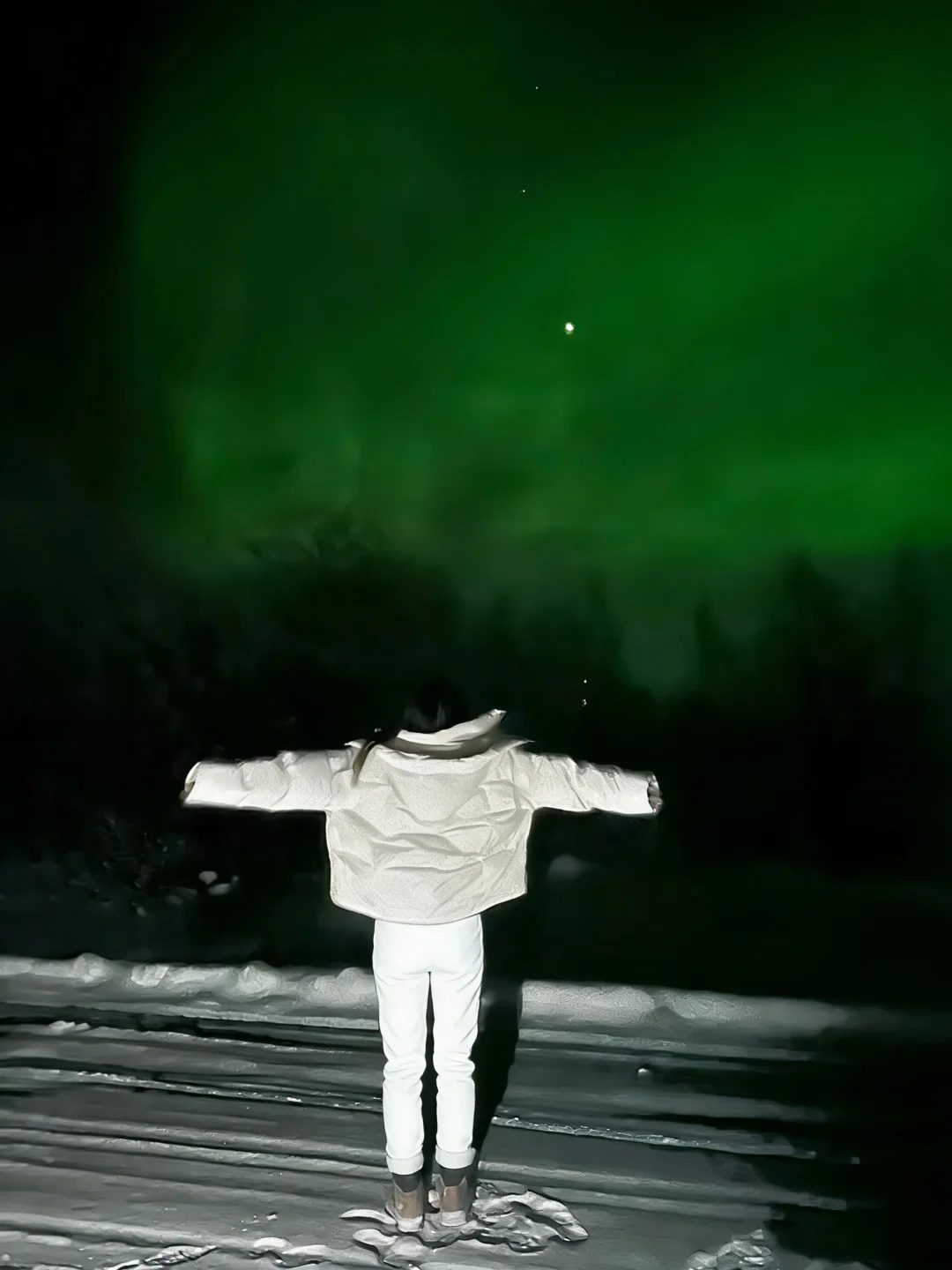 2026.2.5俄罗斯年受冻已回，我的避雷建议