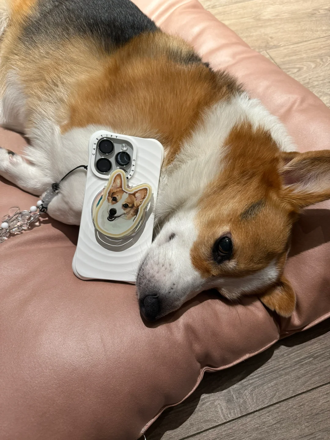“小狗我呀🐶也有周边啦”