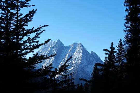 四姑娘山雪最多的时候居然是3月份❗❗❗