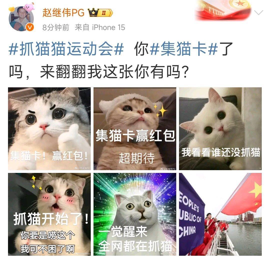 #抓猫猫运动会# 跟赵继伟一起抓猫猫 ​​​