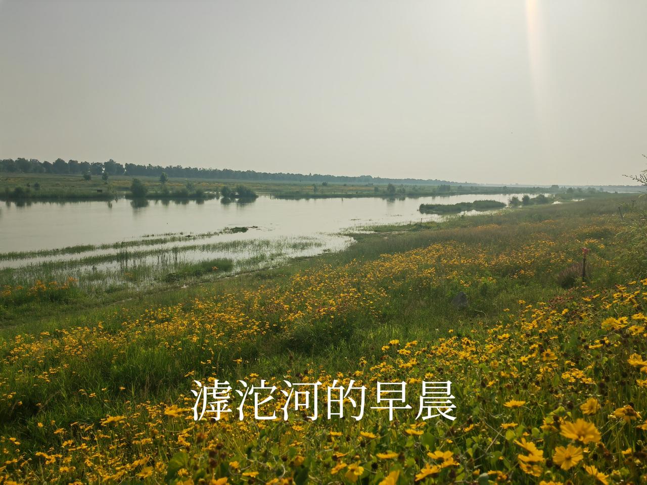 上传一张你手机里天空的照片吧