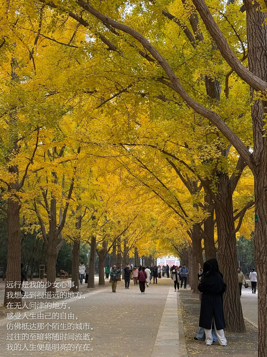 我经由无数次远行抵达自我