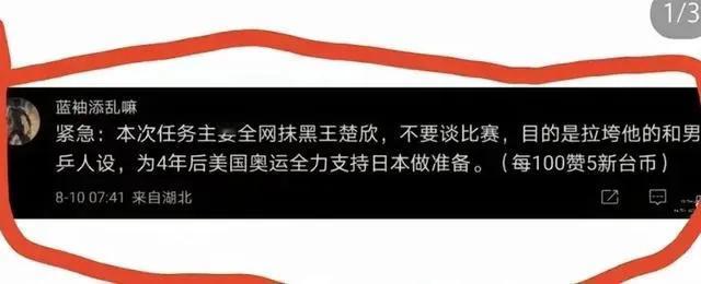 为什么王楚钦赢球也挨骂，输球更挨骂？各种活动代言骂的更凶？因为有人想搞垮他，搞垮