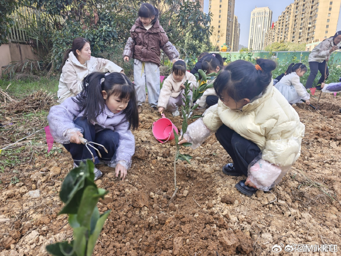 台州萌娃植树播绿把环保理念种进心里 以树为媒，以爱护绿！三门海润街道将生态保护与
