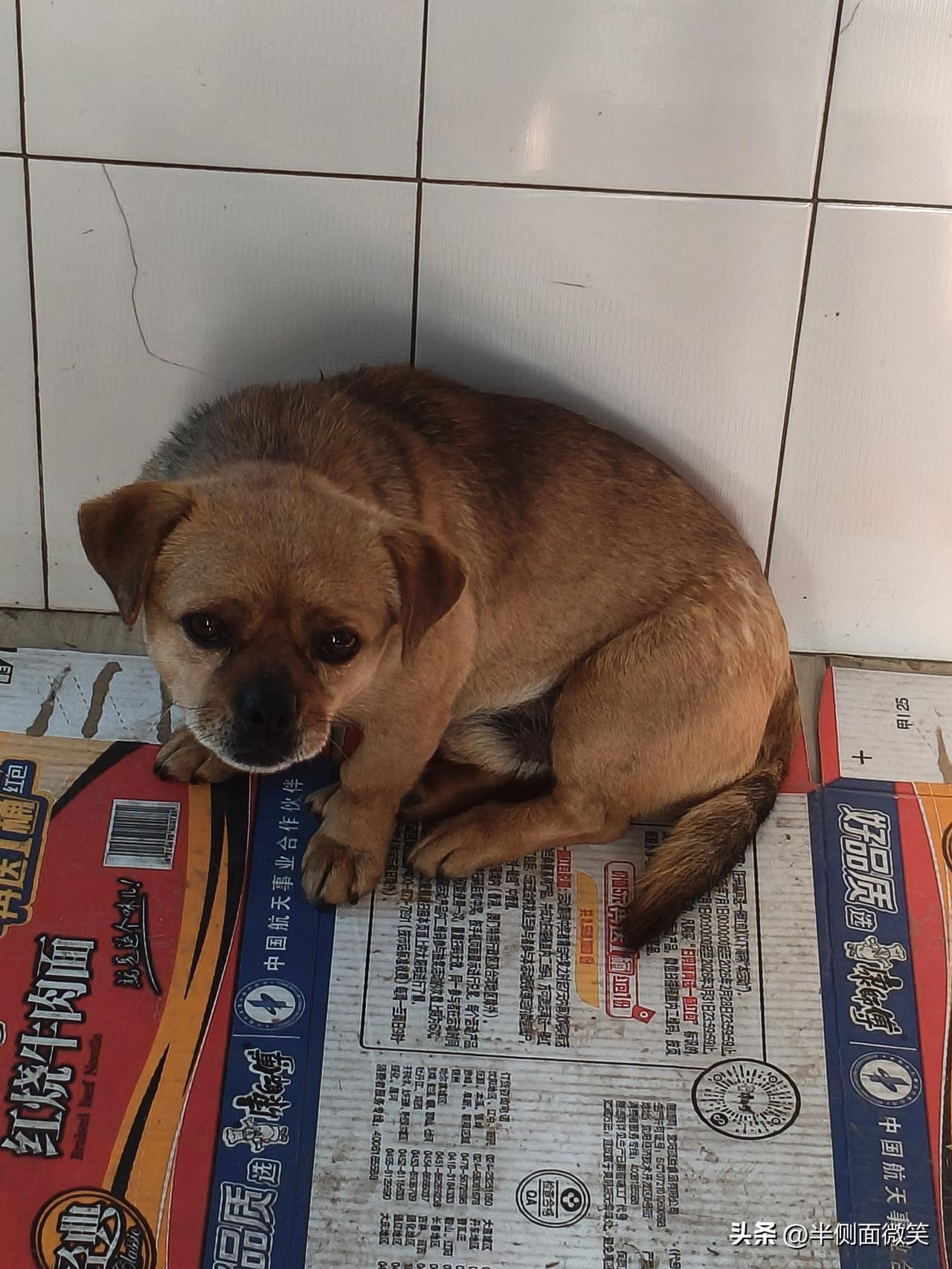 每一次都记心里