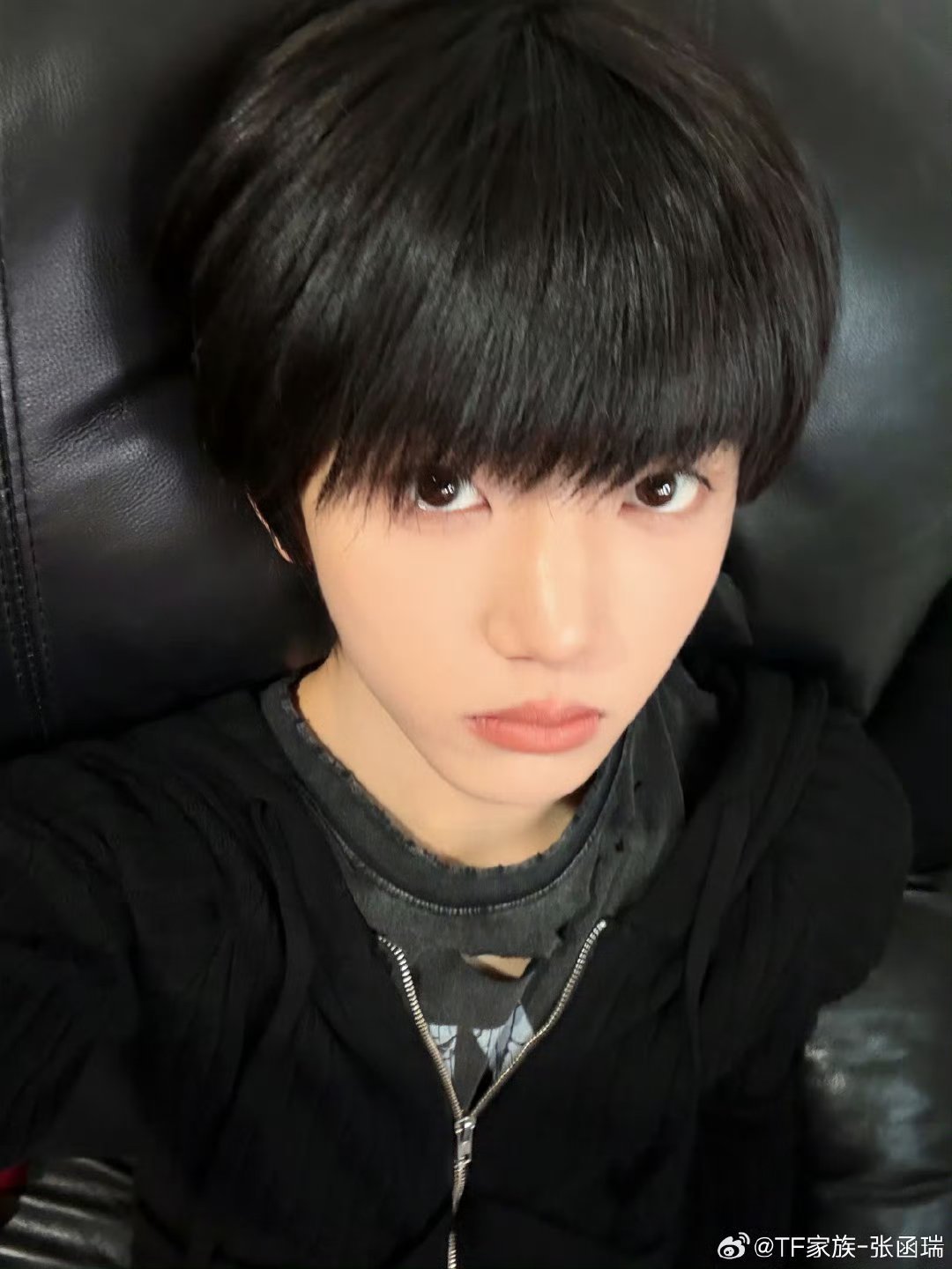 张函瑞 拜拜了大蘑菇头很难会不喜欢这只小猫好吗