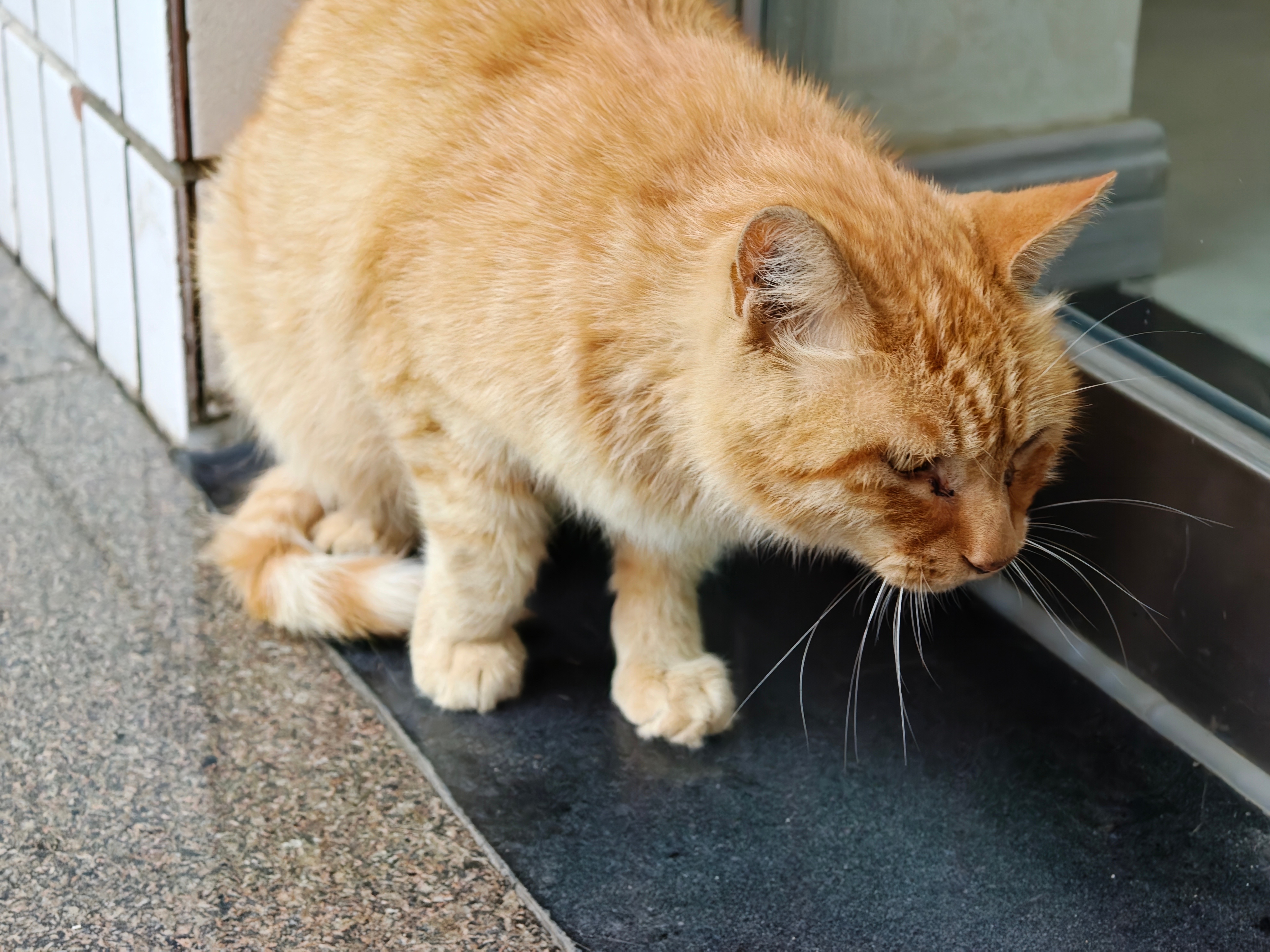 雷军雨天健身房打卡雨天上班打卡[努力] ​​​