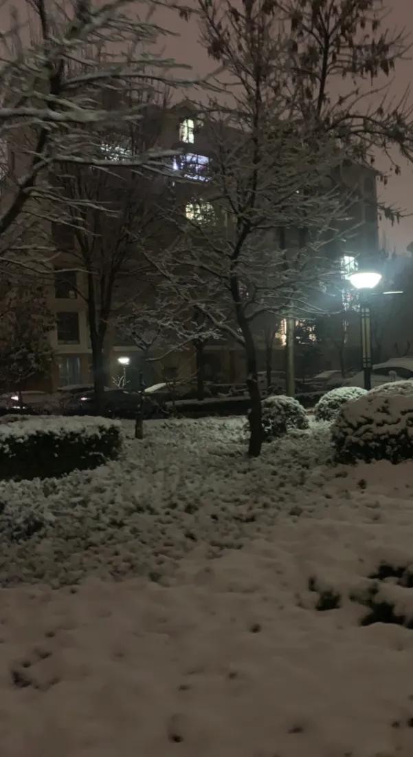 都说“春如四季”
本周就是个例子
山东气温开启“过山车急速下滑”模式