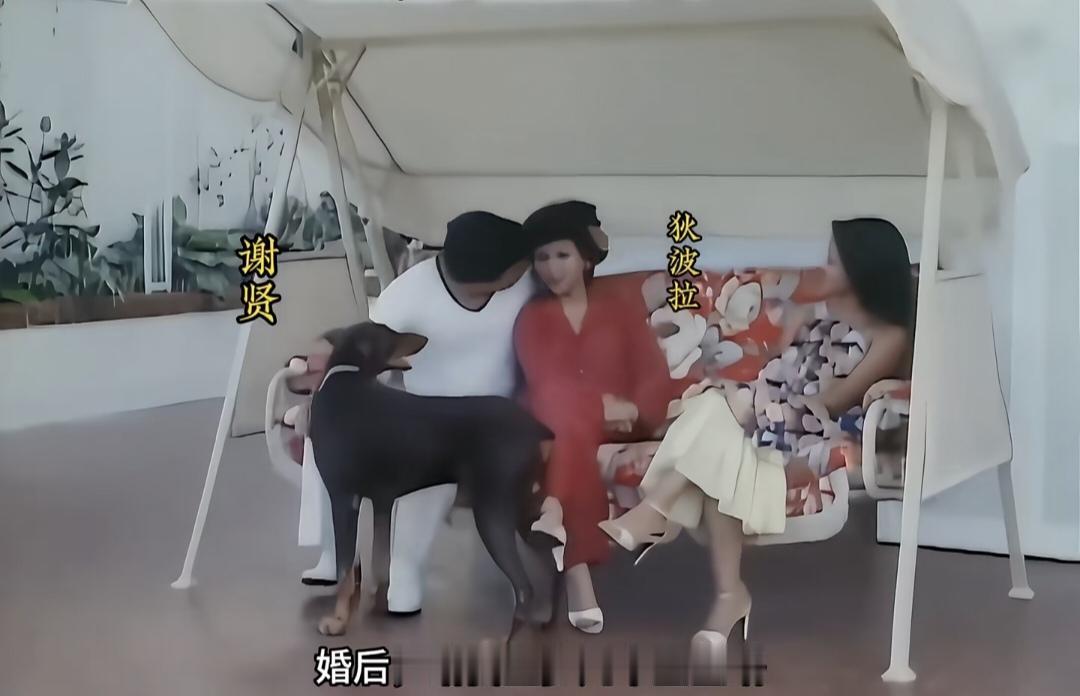 普通人很难想象上世纪70年代，
谢贤与狄波拉婚后，
住着上千万港币的独栋别墅，