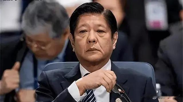 2026年6月11日半夜，中国外交部一纸制裁令砸在菲律宾国防部长特奥多罗头上。不