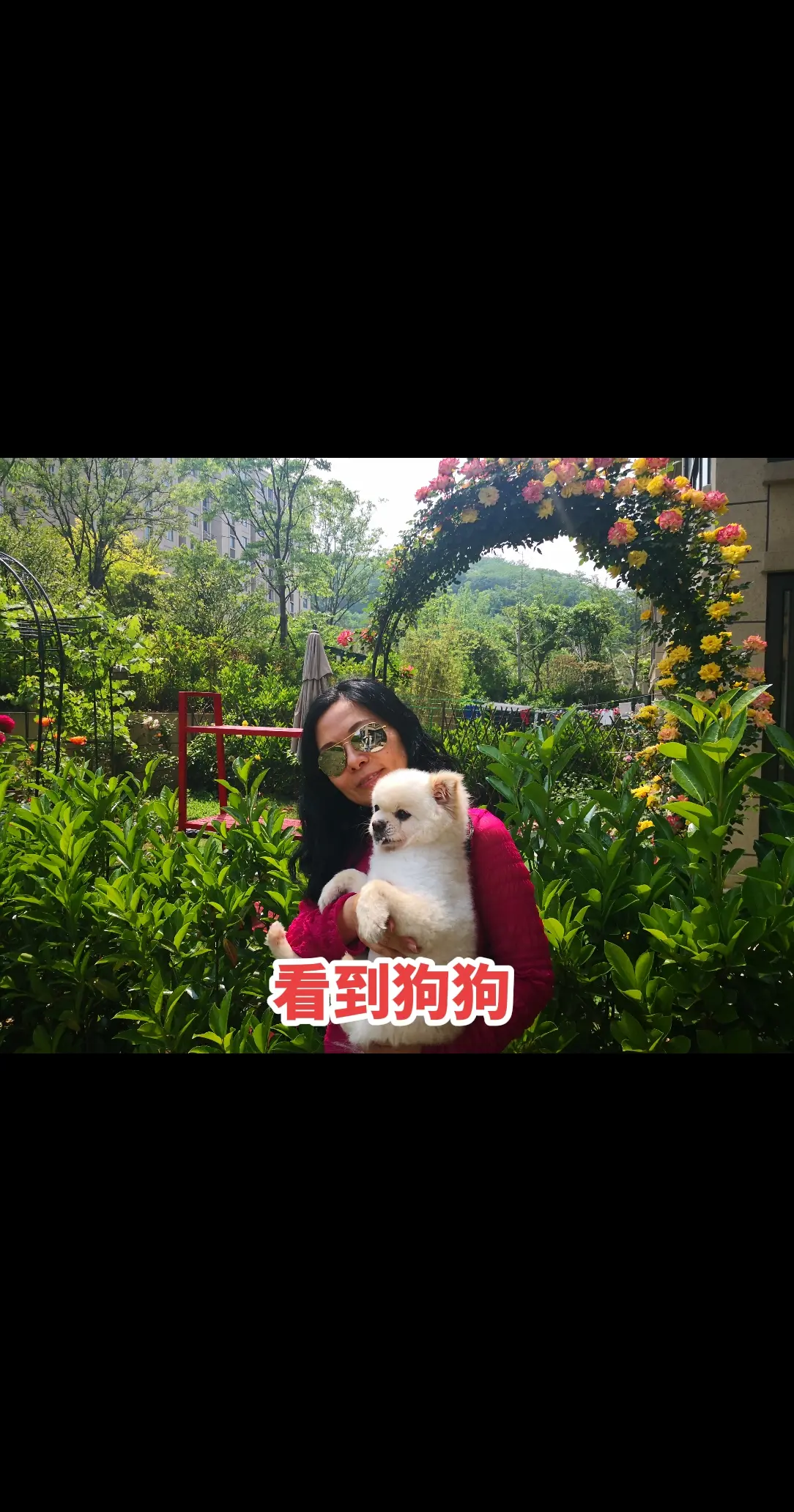 18年美好的陪伴，永失所爱…