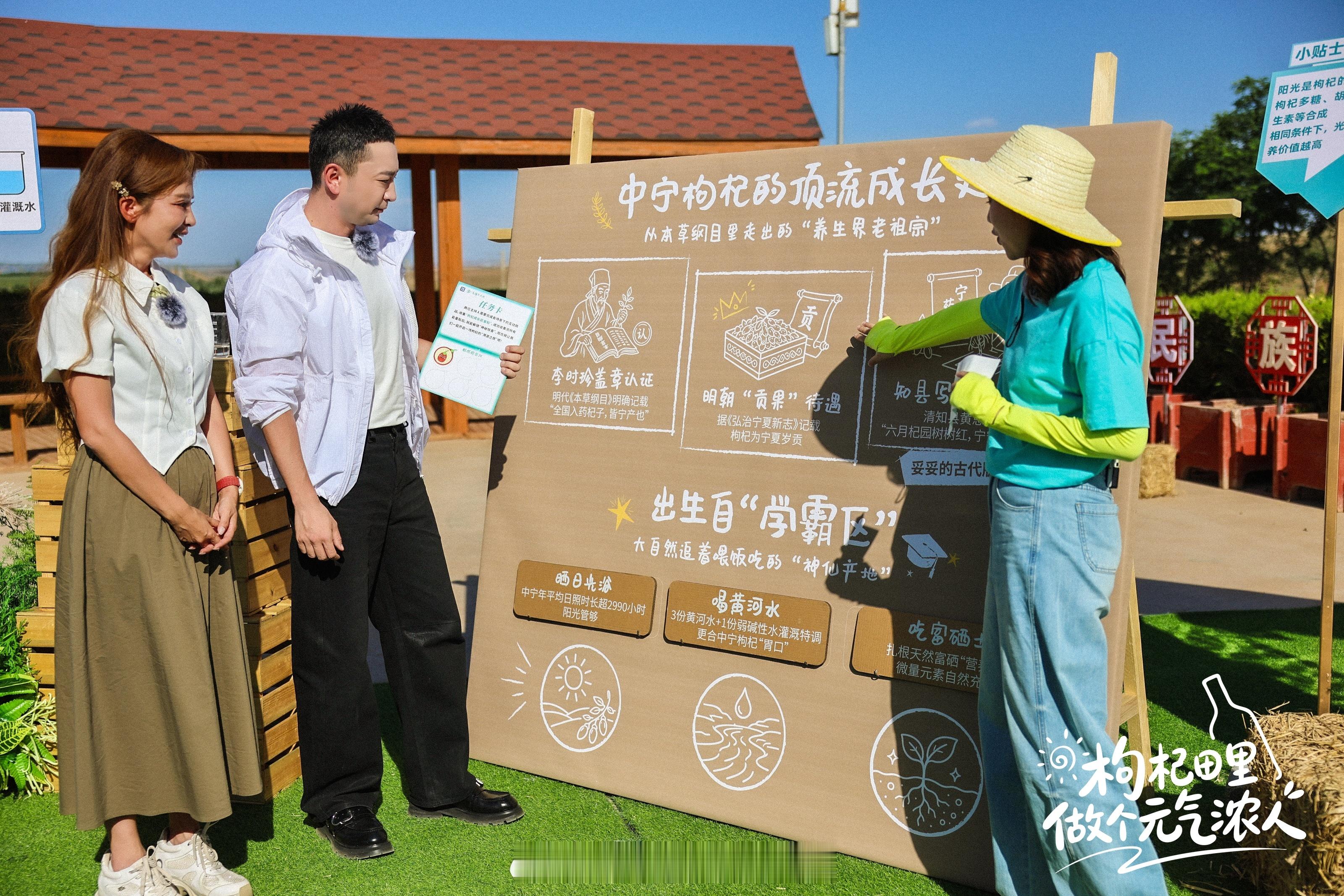旅途中做个元气浓人枸杞田里做个元气浓人 前几天看央视新闻直播，尼格买提和朱迅带着