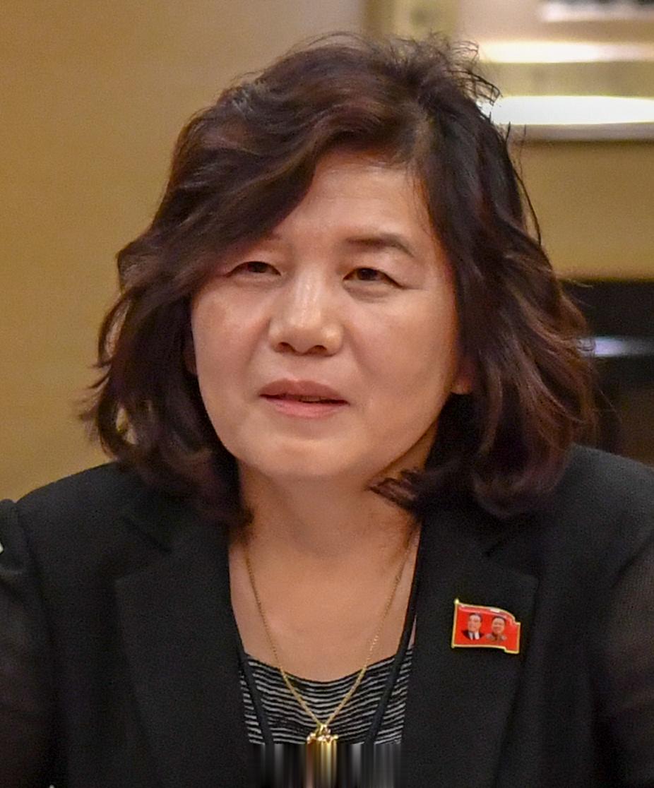 崔善姬就七国集团外长发表“联合声明”极端干涉内政、内容不当、恶毒打压朝鲜合法行使