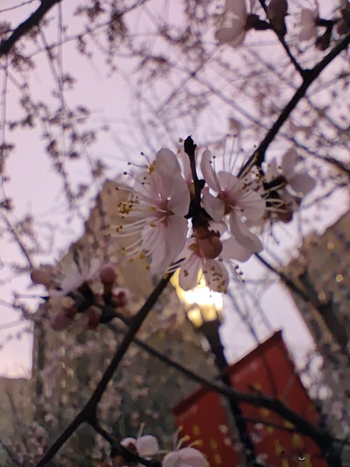 你越信任的人，伤你越深
 
人这一辈子，最怕的不是陌生人的刁难，而是身边最信任的
